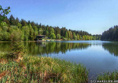 Der Kuttelbacher Teich mit Waldbad