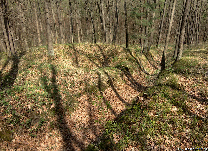 Erdschanze im Vorfeld der Bastion Ludwigsburg