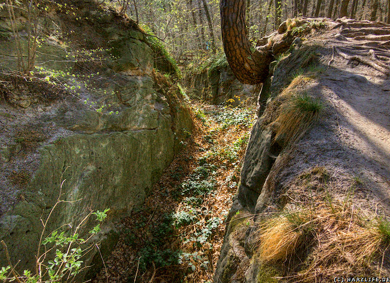 Burggraben an der Ludwigsburg