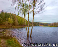 Hochwasser Mandelholzstausee