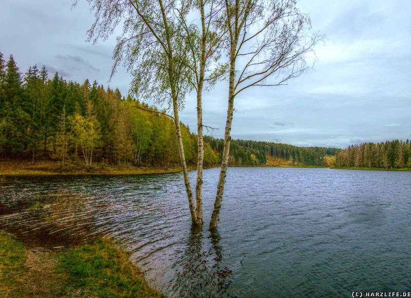 Frühjahrshochwasser am Mandelholzstausee