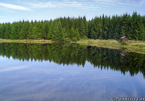 Der Obere Hahnebalzer Teich ehemaliger Bergbauteich im Harz