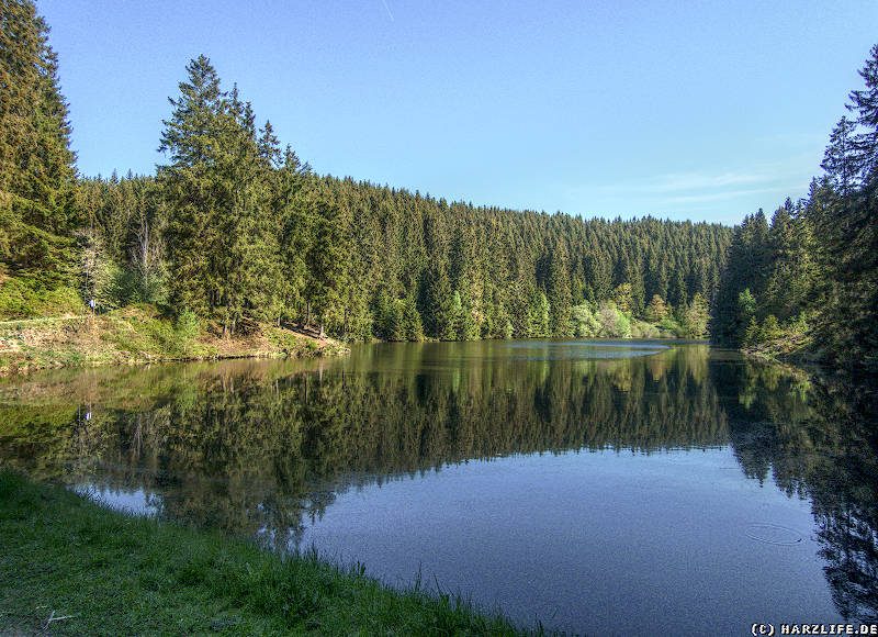 Am Unteren Grumbacher Teich