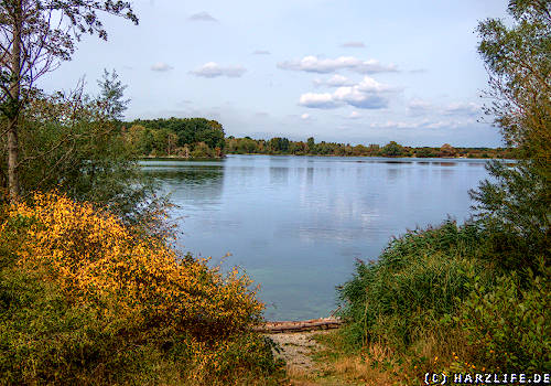 Blick auf den Wiedelaher See