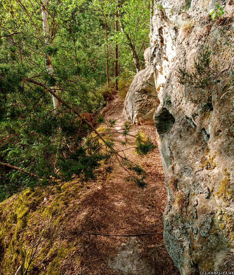 Schmaler Pfad am Winklersteig