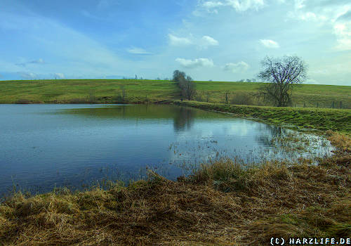Der Alte Wasserläufer Teich