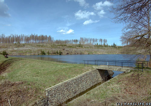 Der Haderbacher Teich