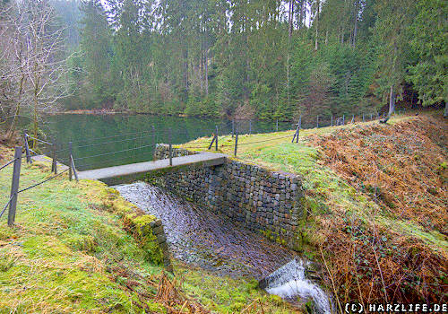 Der Kreuzbacher Teich