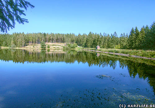 Der Obere Einersberger Teich