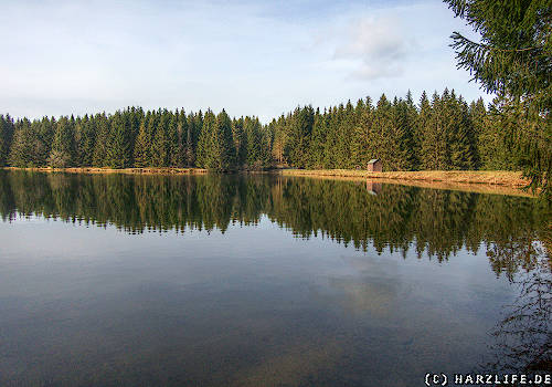 Der Obere Hahnebalzer Teich