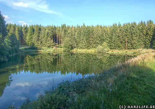 Oberer Hüttenteich