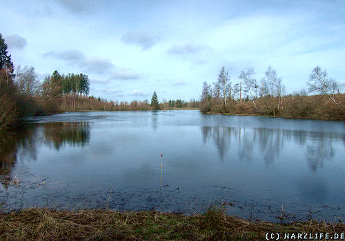 Der Obere Pfauenteich bei Clausthal-Zellerfeld im Harz