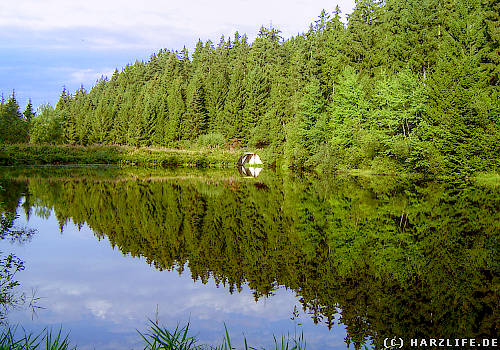 Der Obere Spiegelthaler Teich