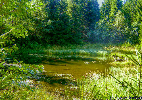 Der Untere Einersberger Teich