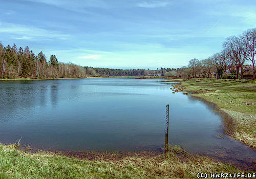 Der Untere Haus-Herzberger Teich in Clausthal-Zellerfeld im Harz