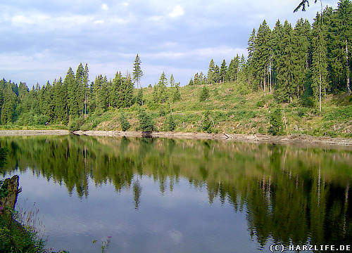 Der Untere Spiegelthaler Teich