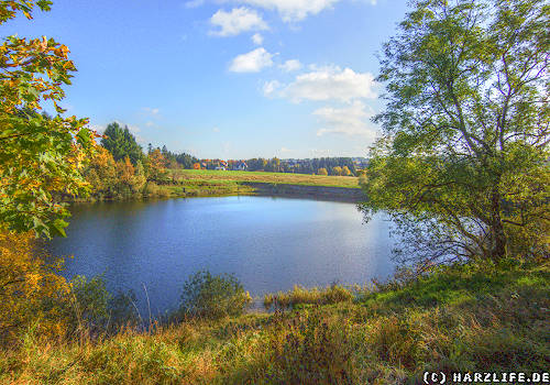 Der Obere Eschenbacher Teich