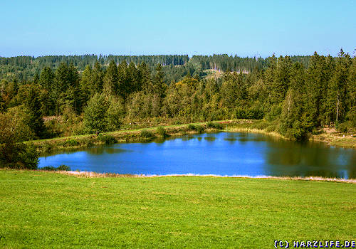 Schröterbacher Teich