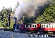 Am Bahnhof Schierke - Die Brockenbahn