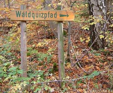 Waldquizpfad