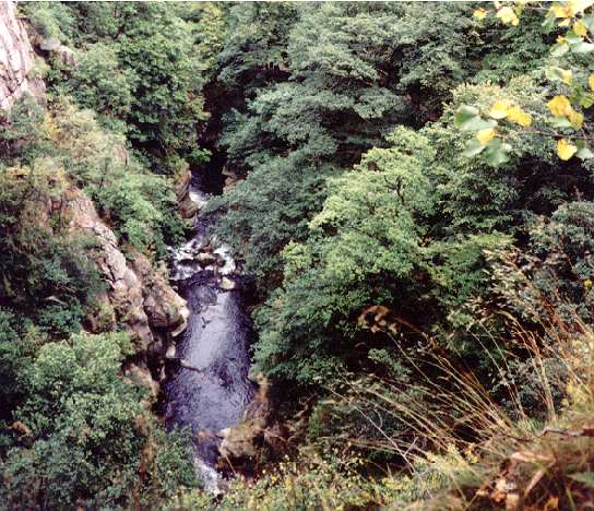 Der Blick ins Bodetal