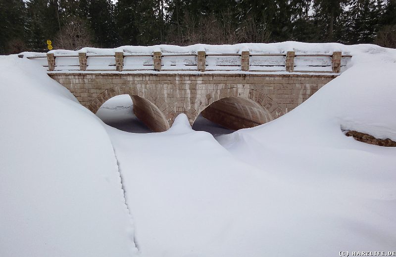 Winter am Oderteich