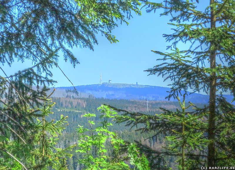 Ausblick zum Brocken