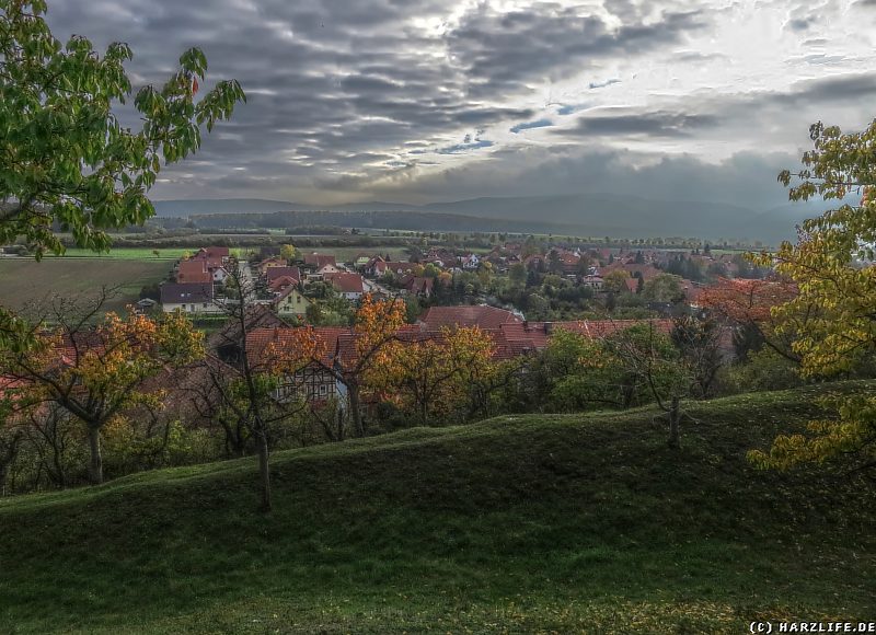 Aussicht vom Ringwall auf Stapelburg