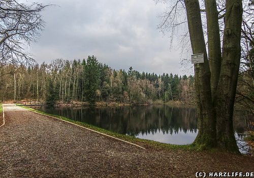 Der Bergrat-Müller-Teich im Harz