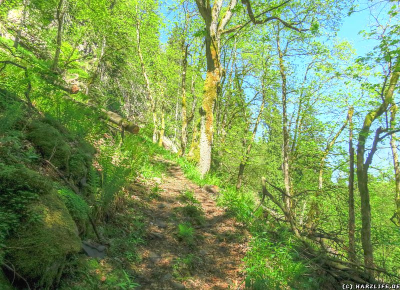 Der beschwerliche Aufstieg zu den Hohen Klippen