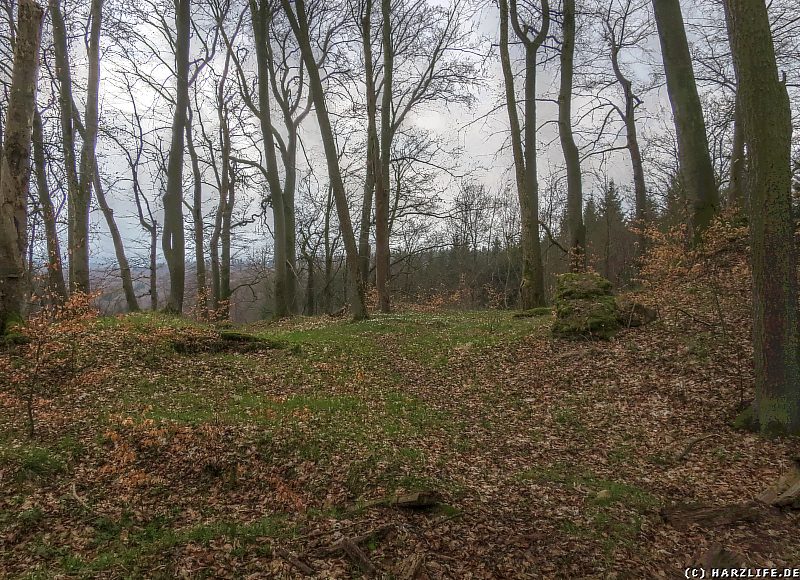 Auf dem Gelände der Kernburg