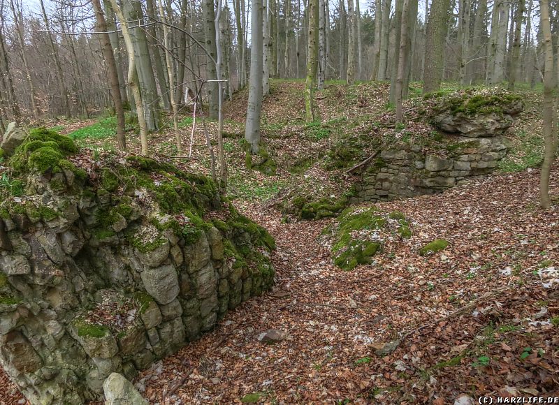 Überreste der Burgmauern der Erichsburg