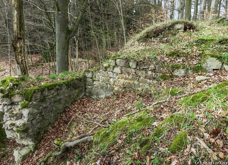 Reste des Mauerwerks der Erichsburg