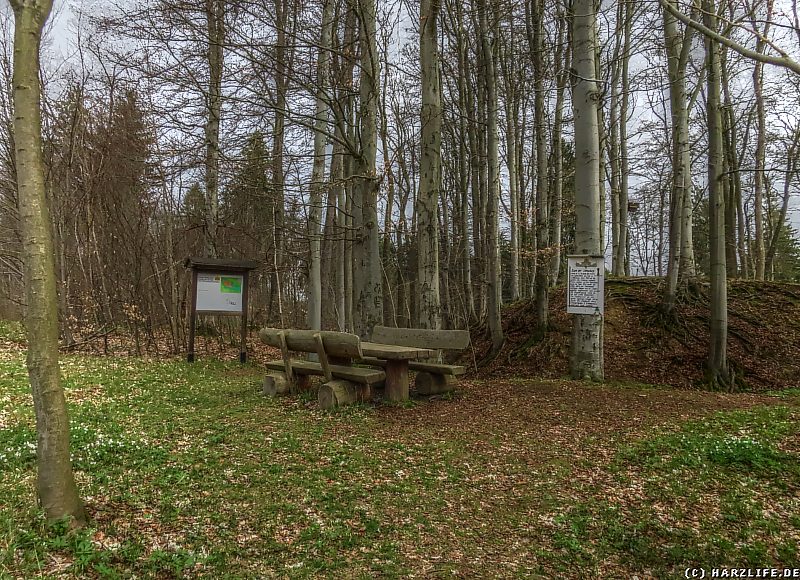 Der Rastplatz an der Burgruine Erichsburg