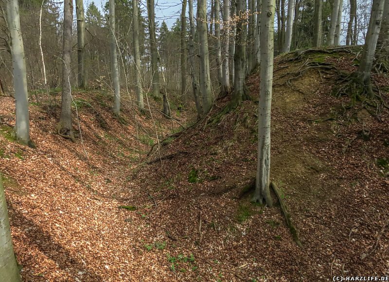 Reste der Wall-Graben-Anlage der Erichsburg