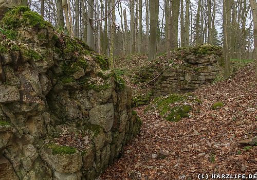 Burgruine Erichsburg