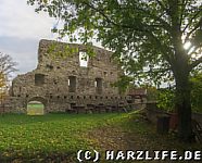 Burgruine Stapelburg Mauerrest