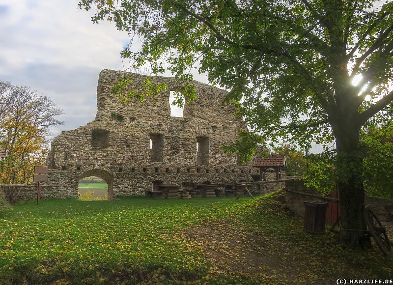 Auf dem Gelände der Burgruine Stapelburg