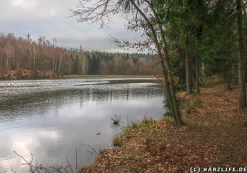 Der Erichsburger Teich im Harz