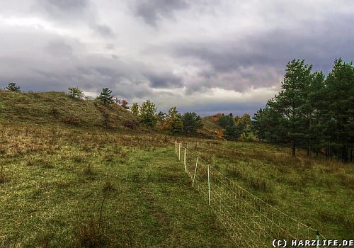 Auf dem Ziegenberg