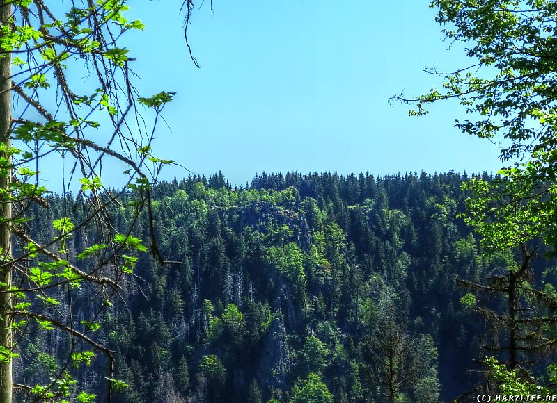 Aussicht auf die Hahnenkleeklippen