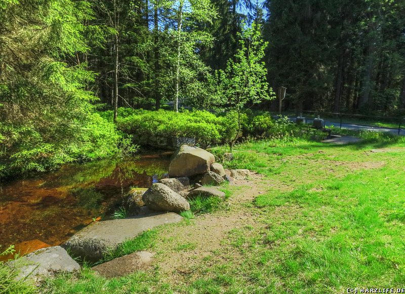 Drecksumpf an der Einmündung des Rehbachs