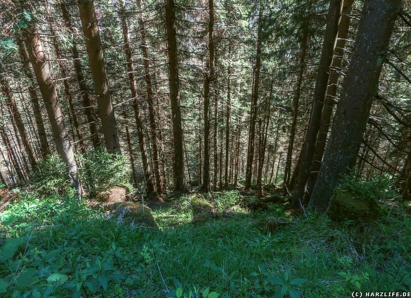 Blick vom Wanderweg ins Odertal