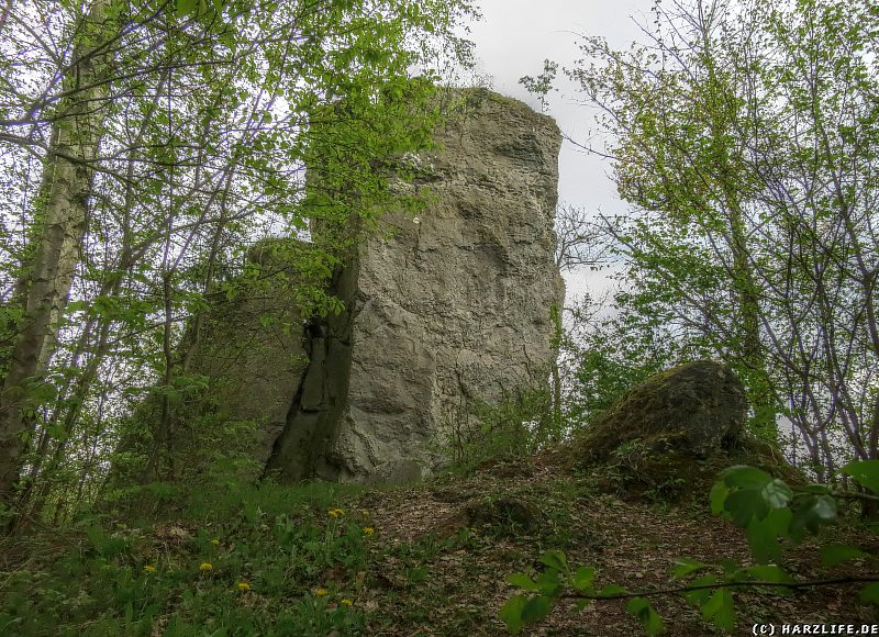 Ein markanter Dolomit-Felsblock auf dem Römerstein