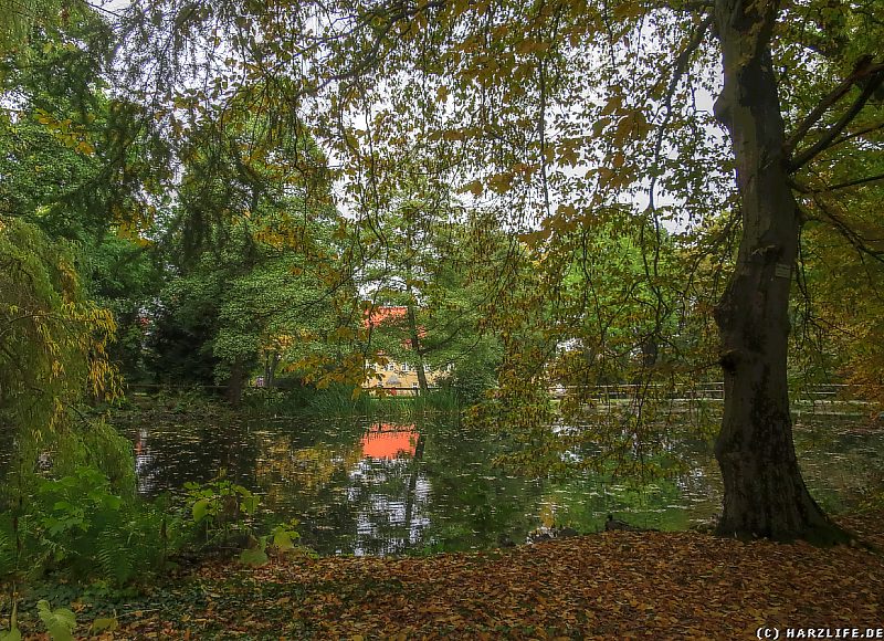 Schloßpark Bündheim mit Teich