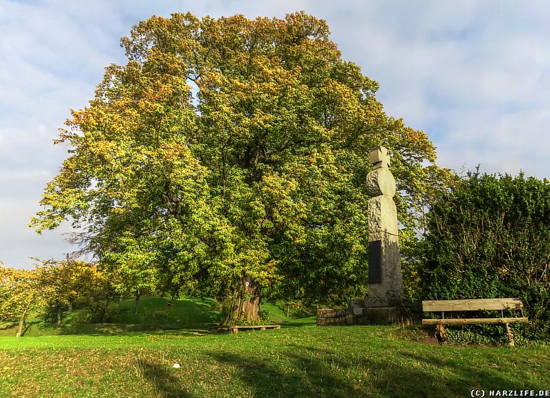 Naturdenkmal Lindenbaum nahe der Burgruine