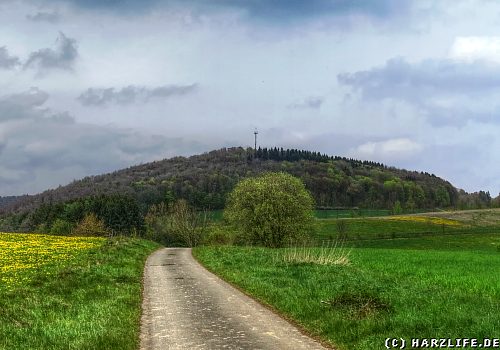 Der Stauffenbüttel