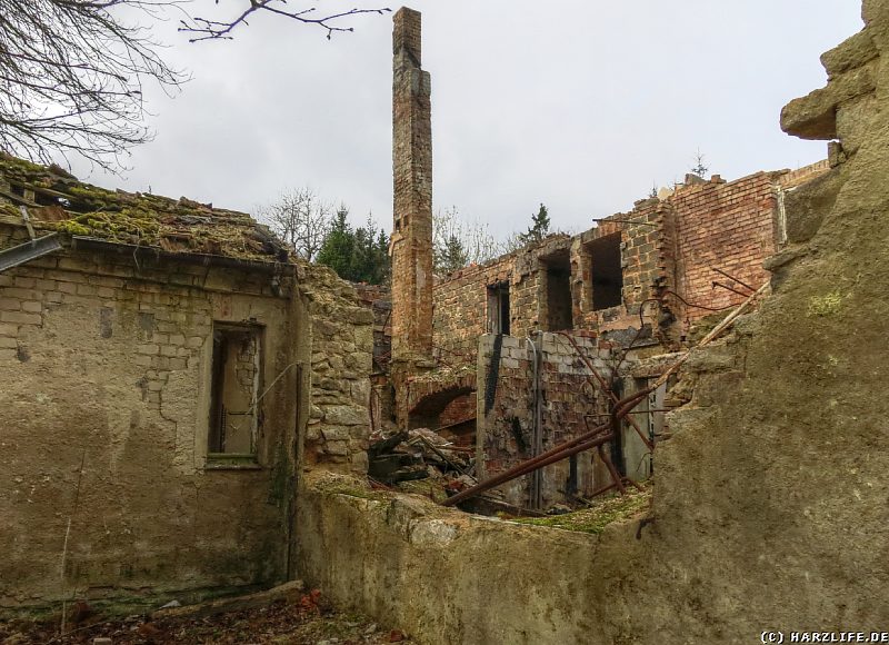 Blick in eine eingestürzte Ruine auf der Viktorshöhe