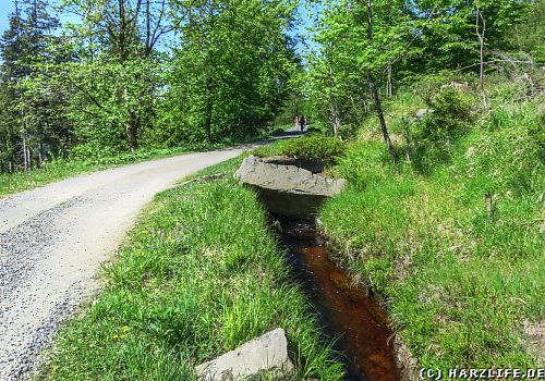 Eine Wanderung am Rehberger Graben