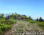 Die Wolfswarte - Wanderziel, Aussichtspunkt und Rastplatz